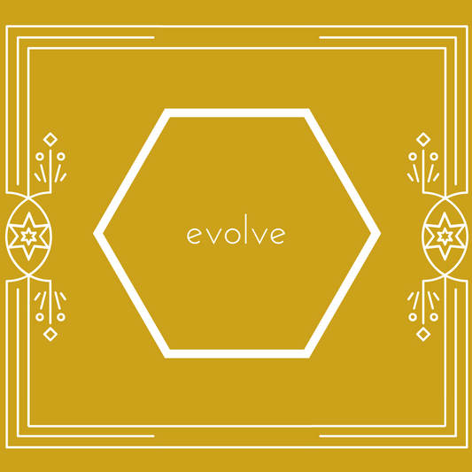 Evolve - my plan for 2017