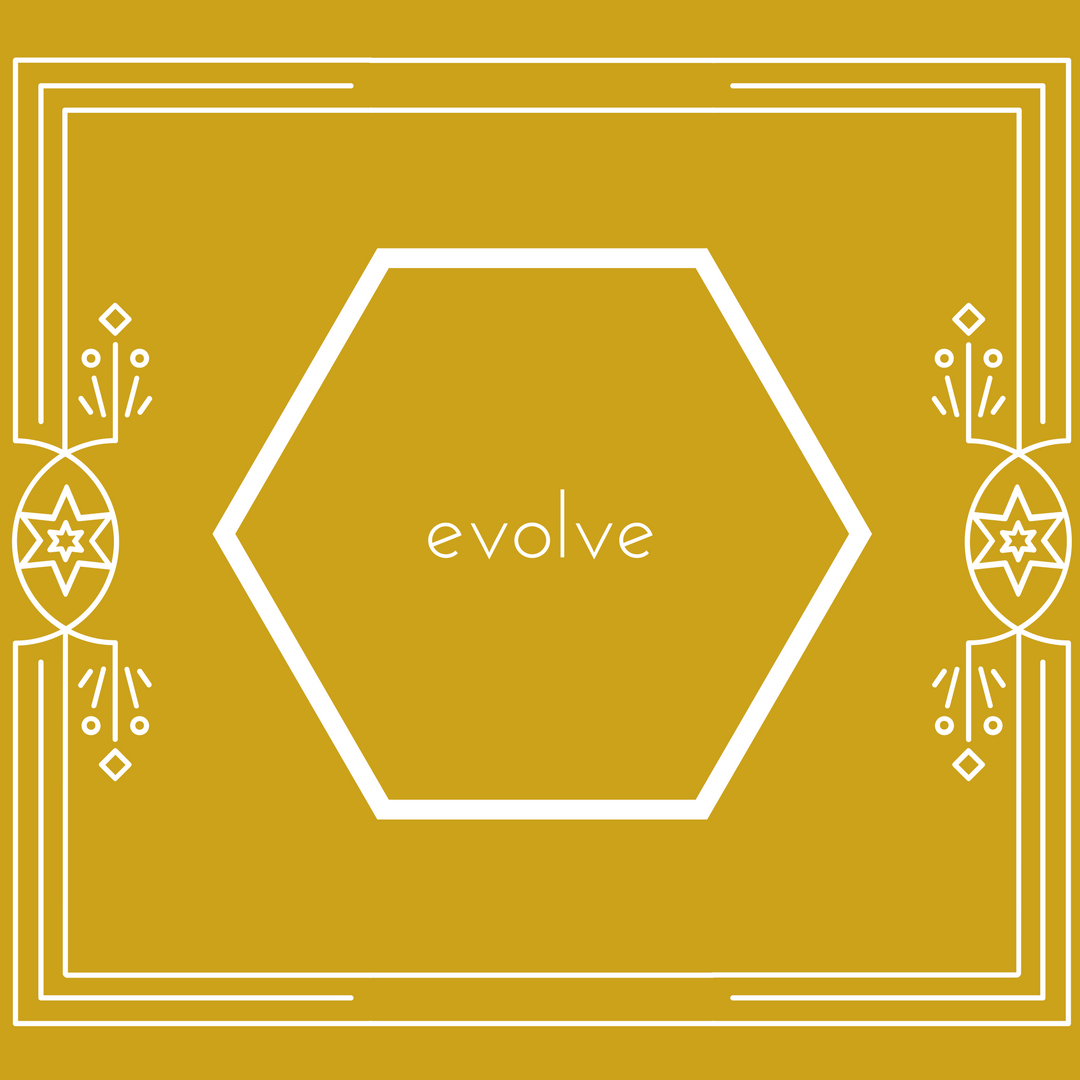 Evolve - my plan for 2017